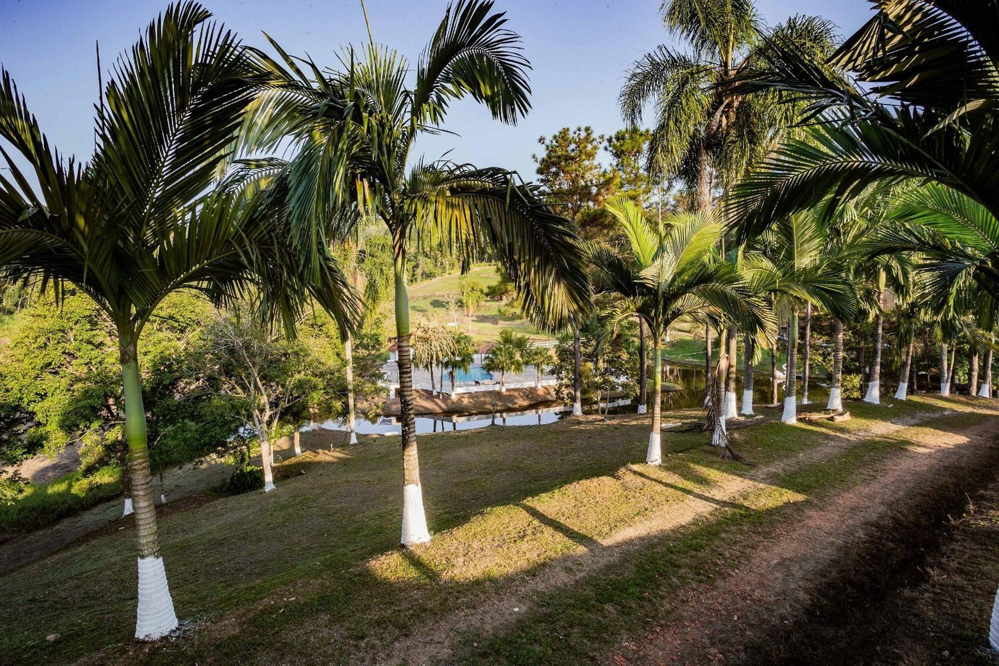 Recanto Das Aguas - Chales No Meio Da Mata Atlantica Eldorado Exterior photo